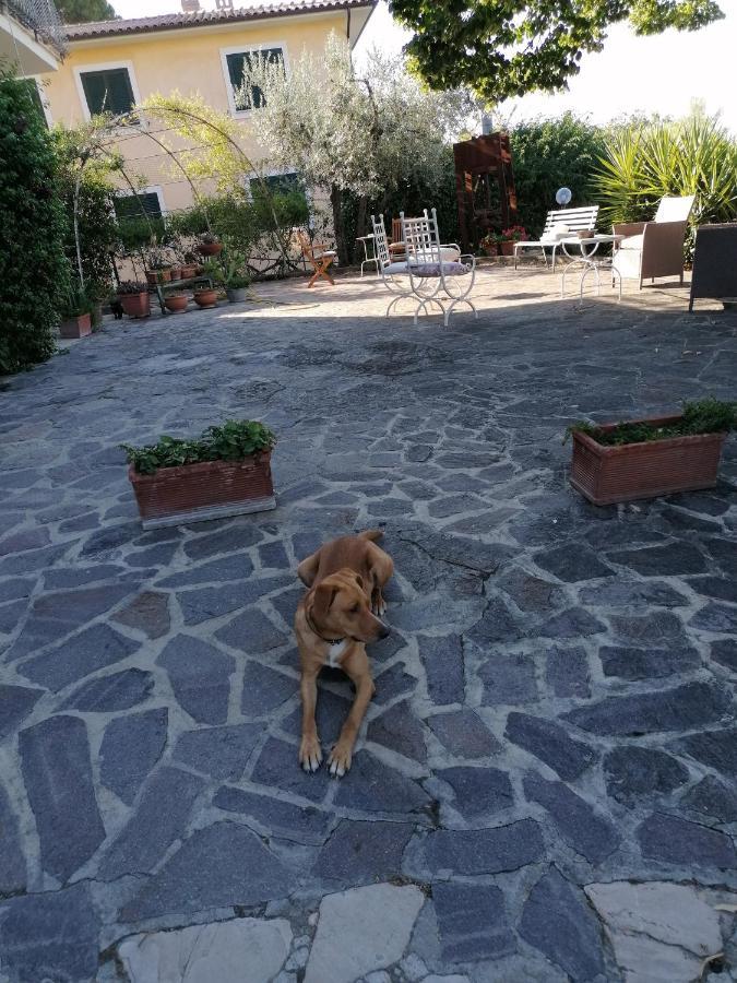 L'Uliveto Villa Montebuono  Екстериор снимка