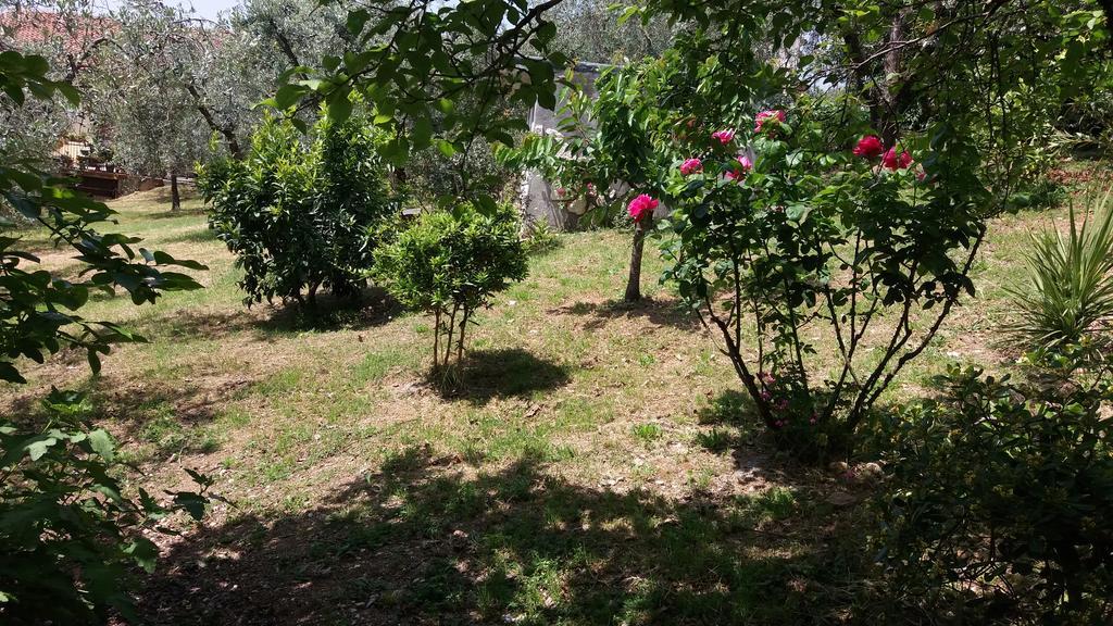 L'Uliveto Villa Montebuono  Екстериор снимка