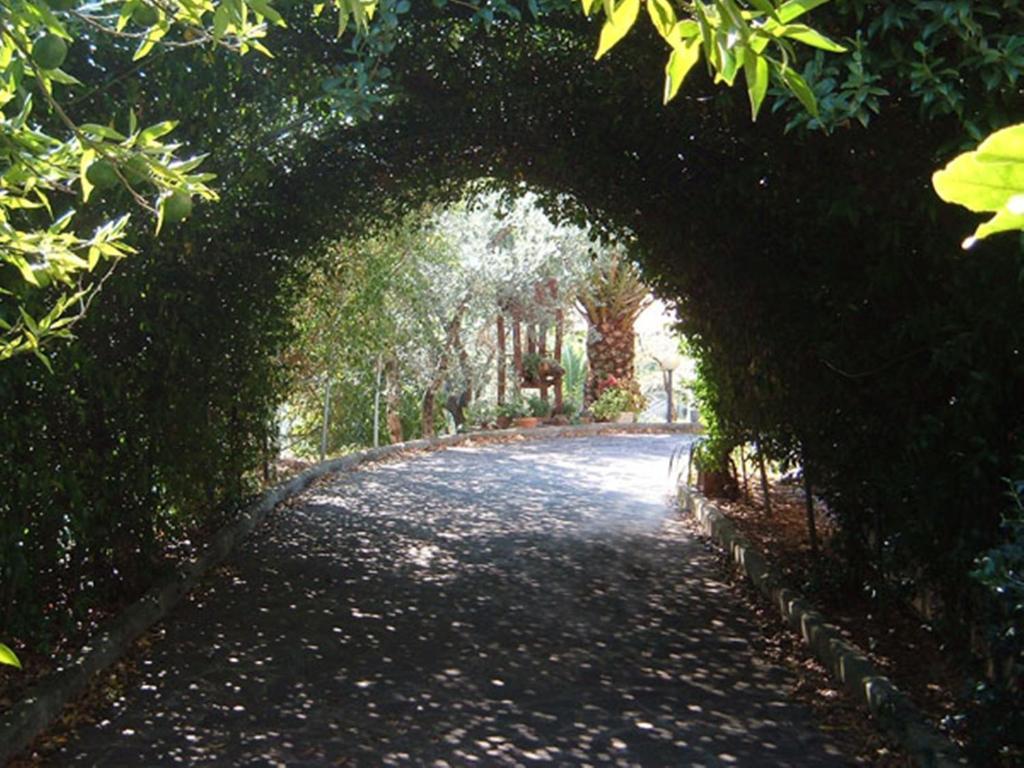L'Uliveto Villa Montebuono  Екстериор снимка