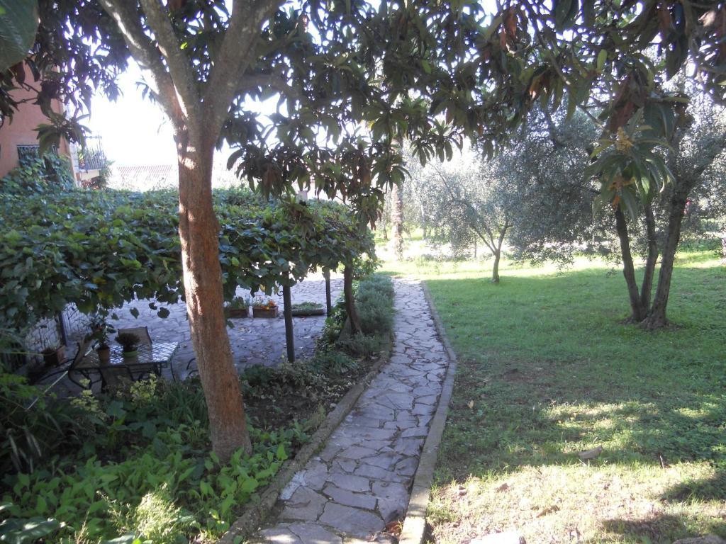 L'Uliveto Villa Montebuono  Екстериор снимка
